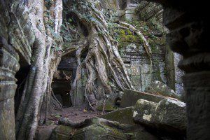 Ta Prohm
