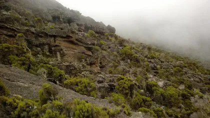 Kili9 420x236