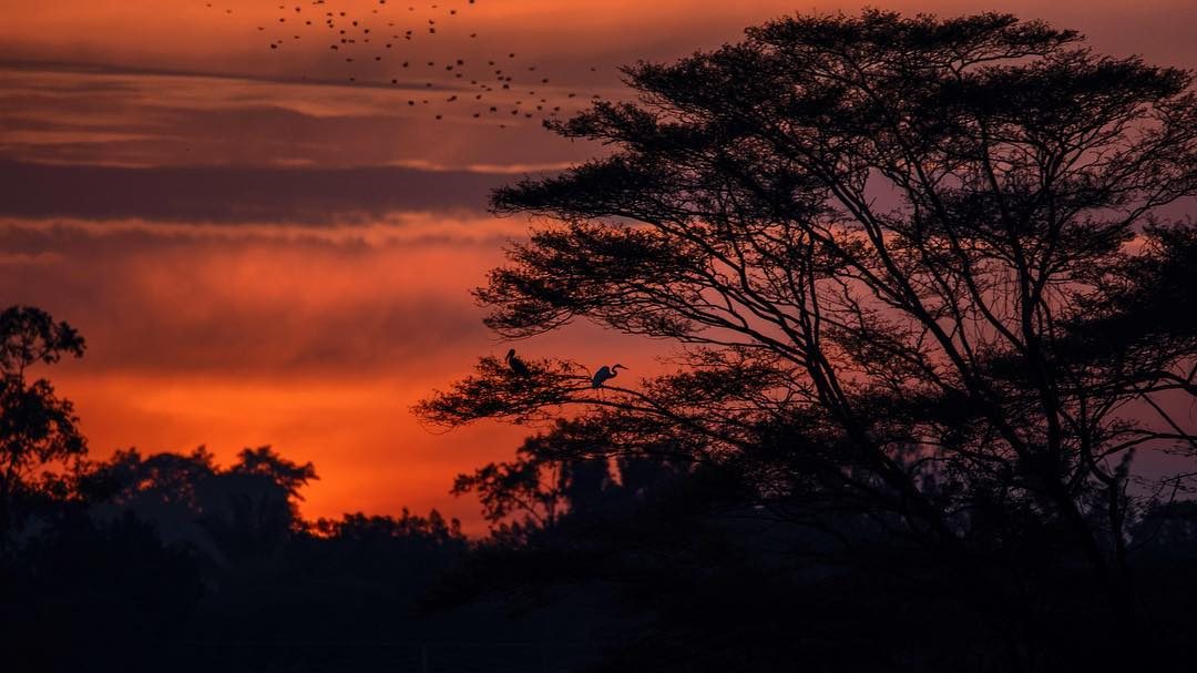 On the road: Nairobi to Kampala