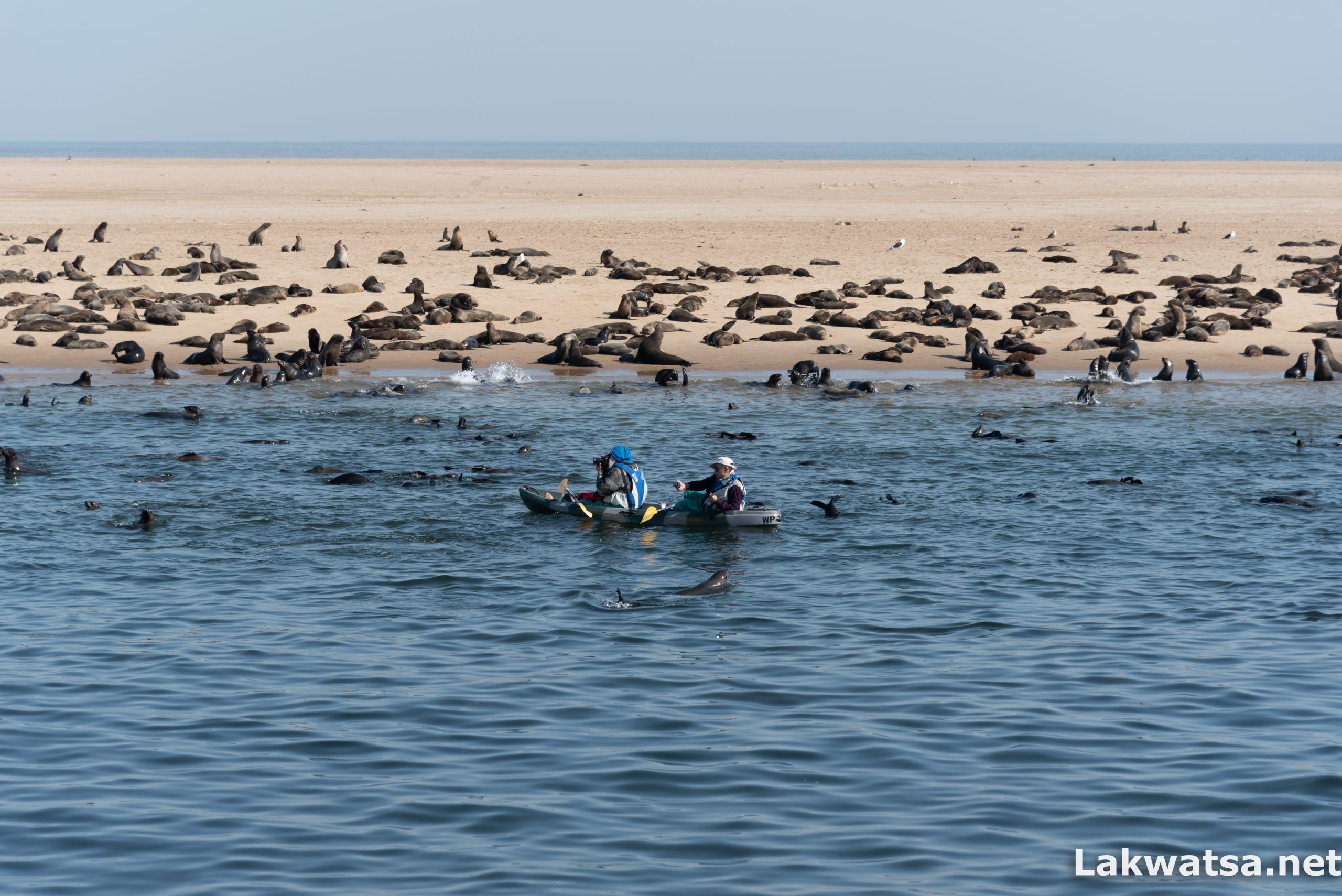 Pelican Point, Walvis bay
