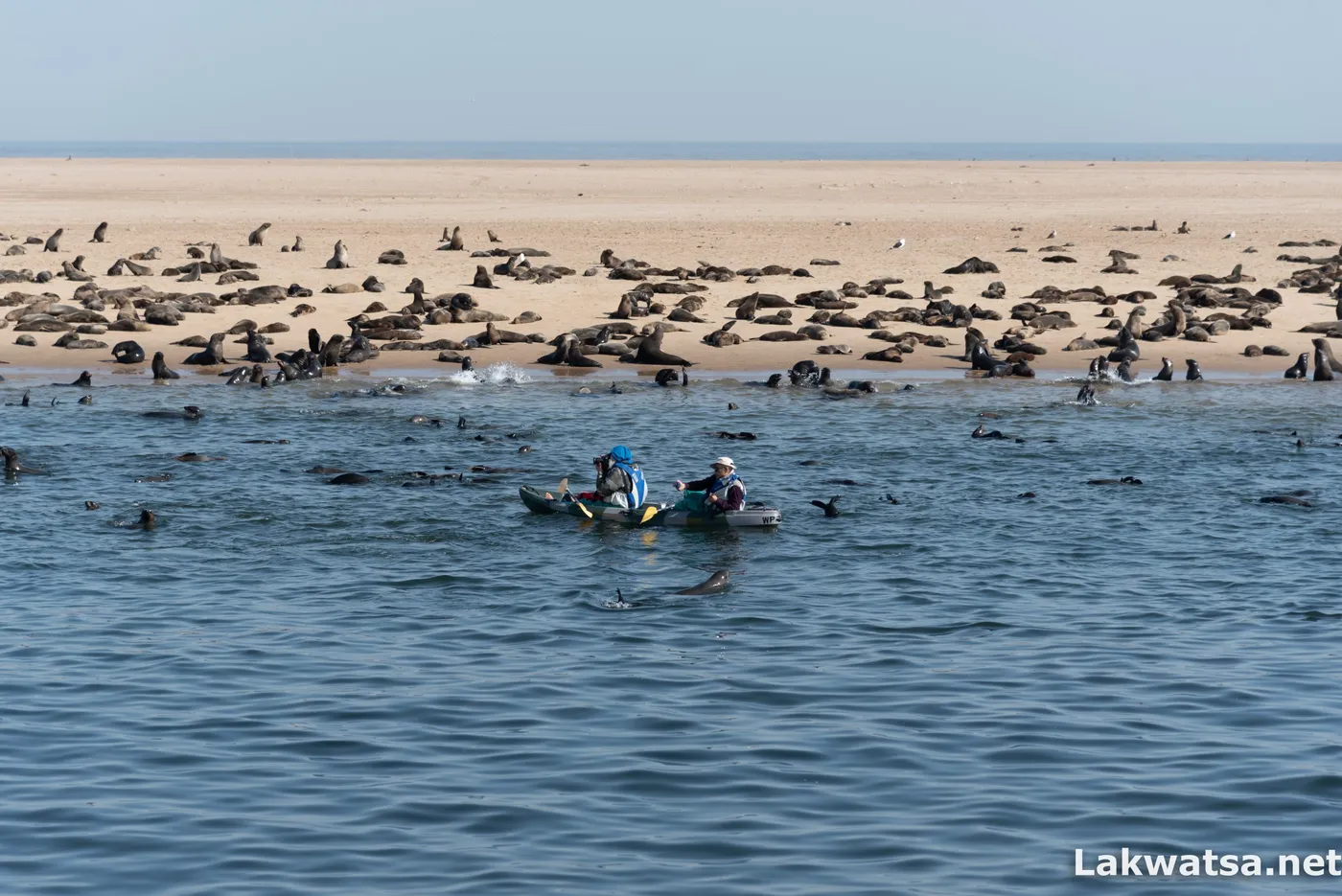 Pelican Point, Walvis bay