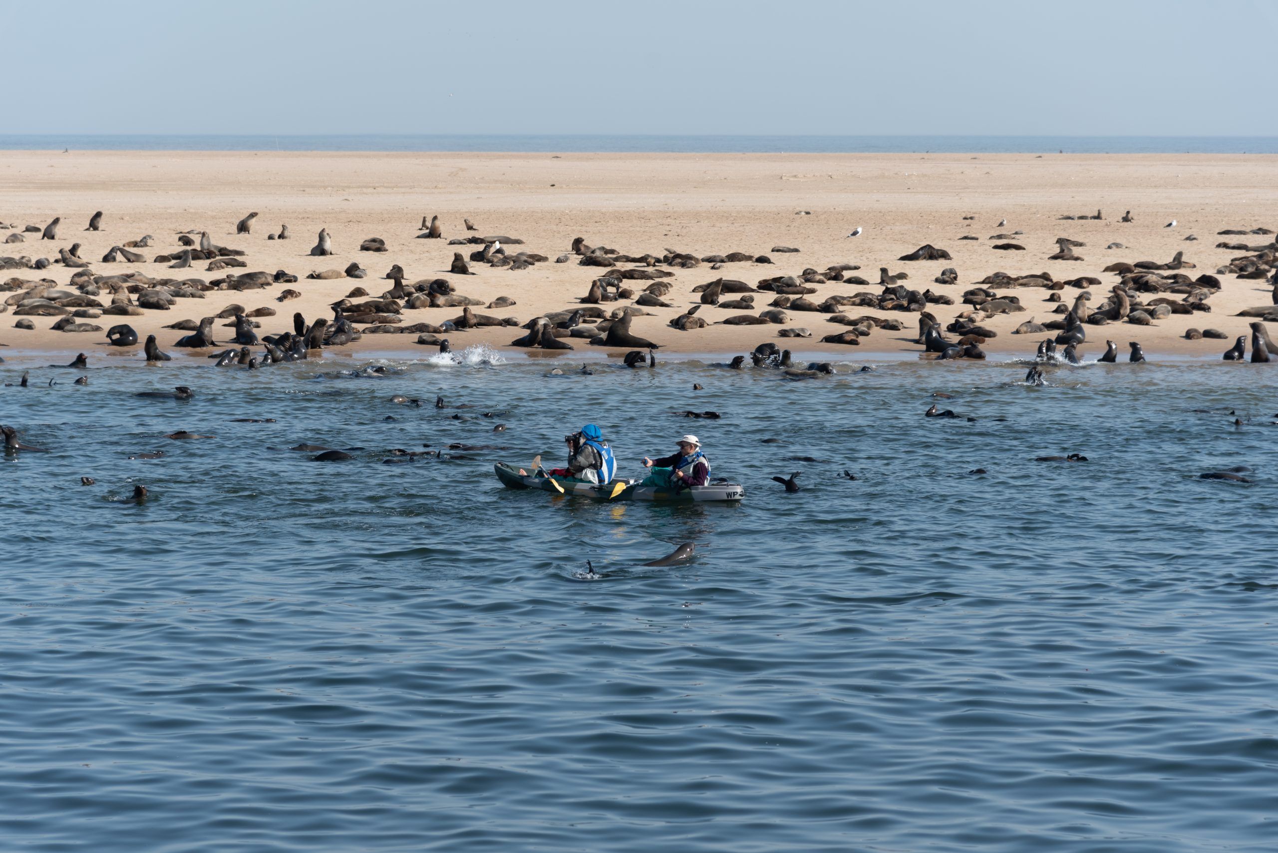 Pelican Point, Walvis bay