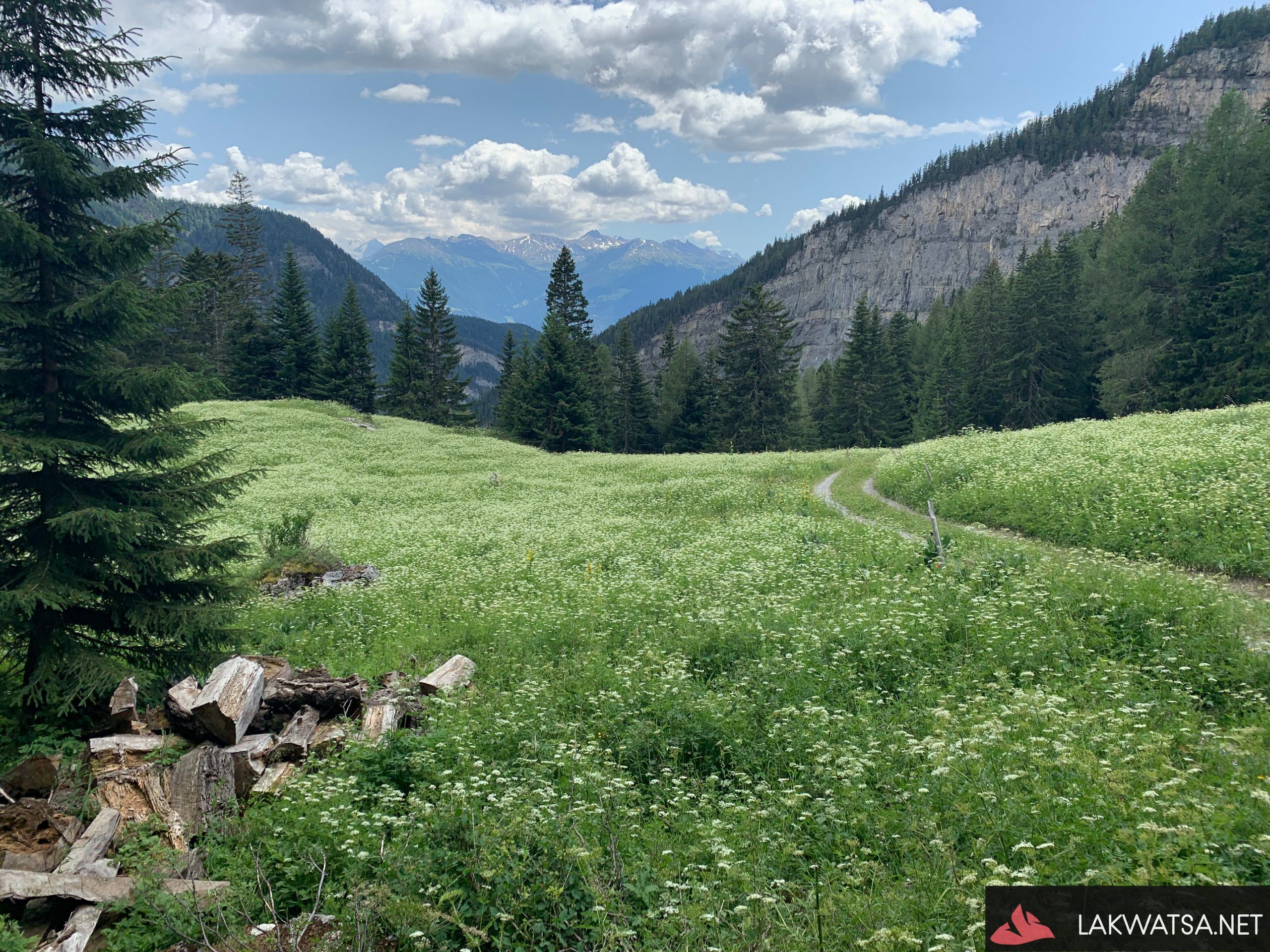Alpine scenery around Bisses d'Ayent