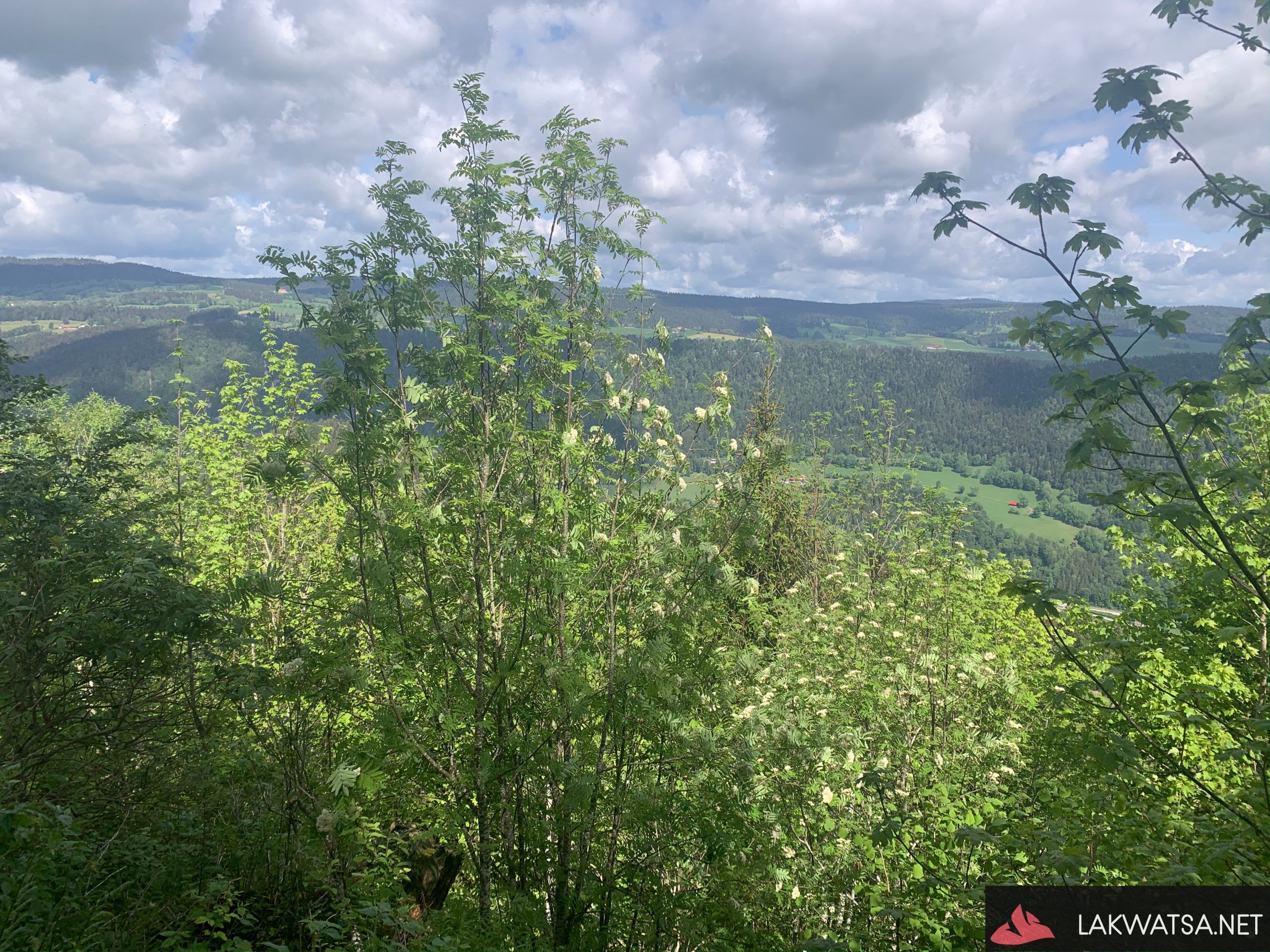 Waling along the steep path of Creux-du-Van