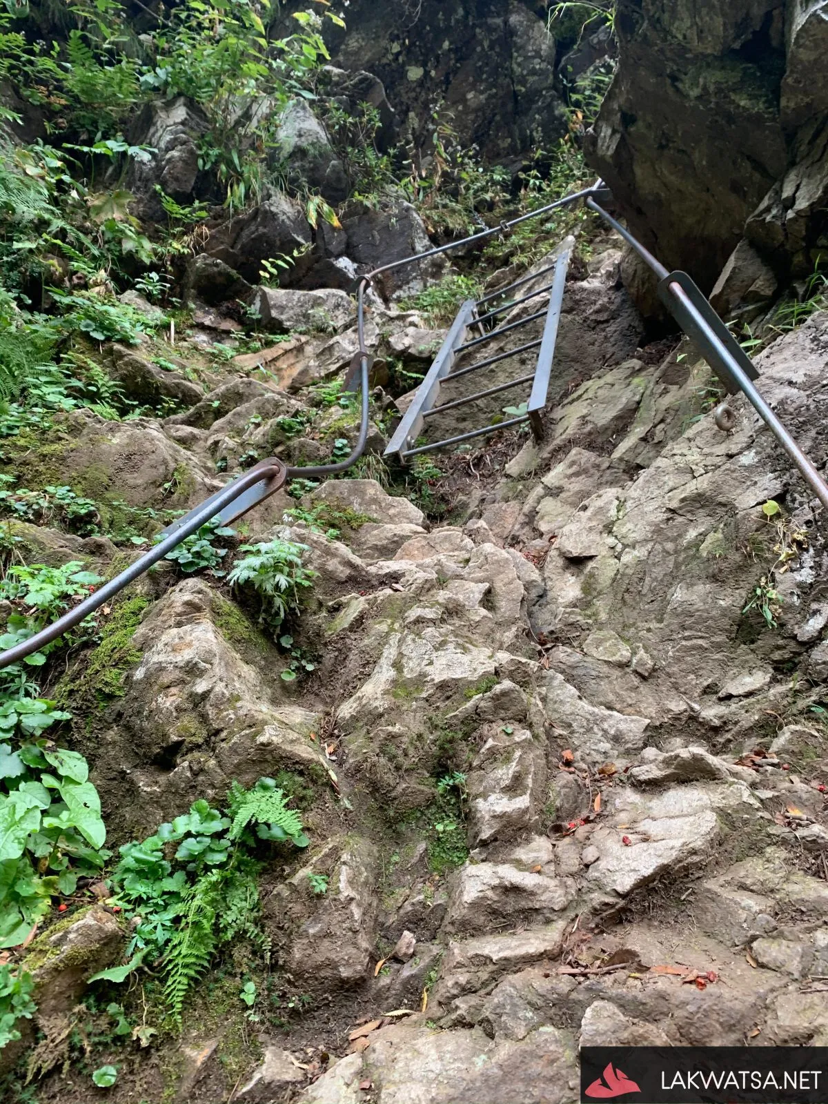 Ladders along the trail