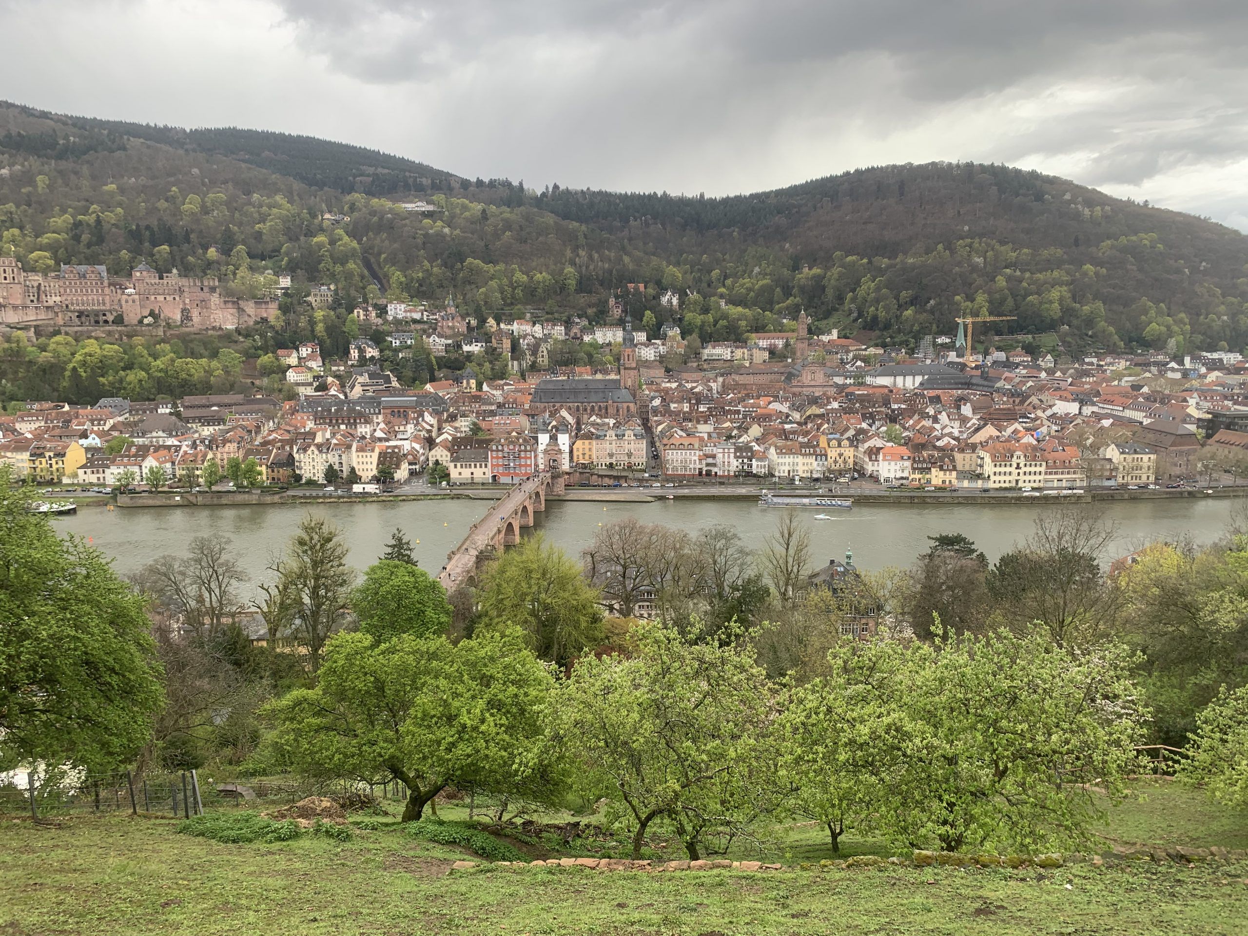 A Las Flores De Heidelberg