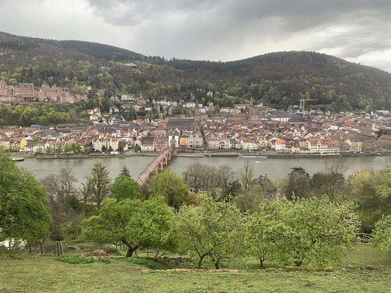 A Las Flores De Heidelberg