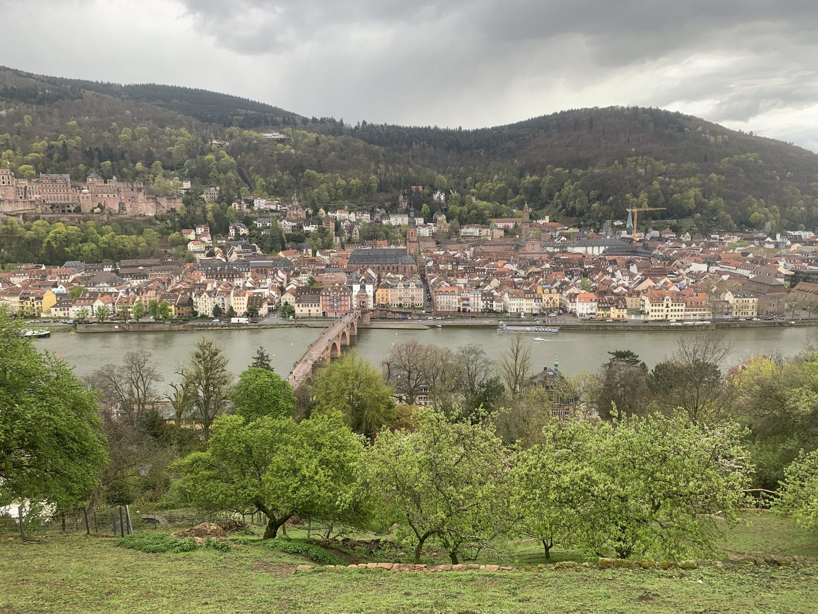 A las Flores de Heidelberg