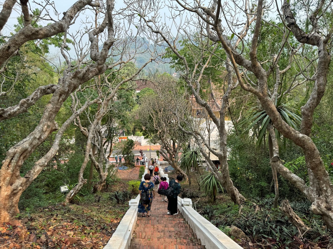 Mount Phousi