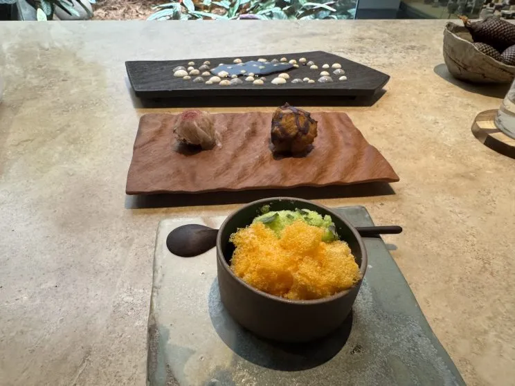 Sabana Amazónica: A vibrant journey through the Amazon at 380 meters above sea level, featuring Aguaje, Doncella, and Hibiscus. This dish captures the lush, earthy flavors of the rainforest, presented with a striking blend of colors and textures.