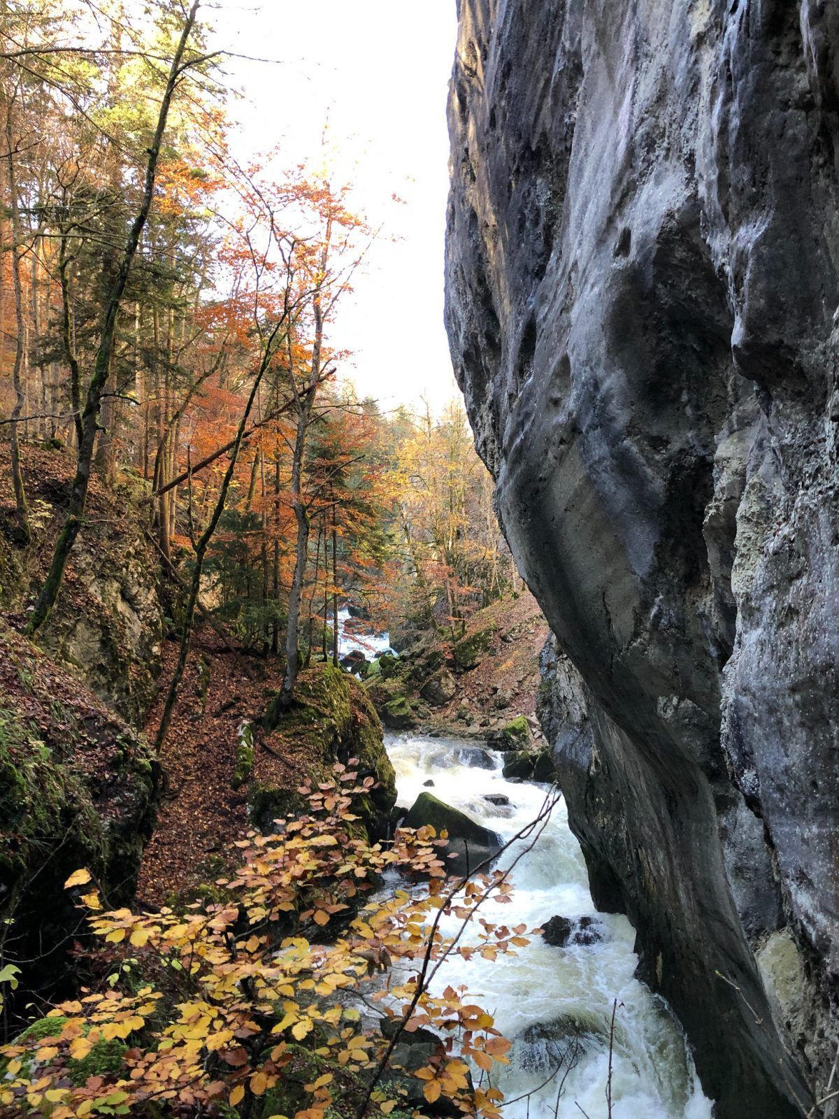 Gorge de l'Areuse Hike -Autumn