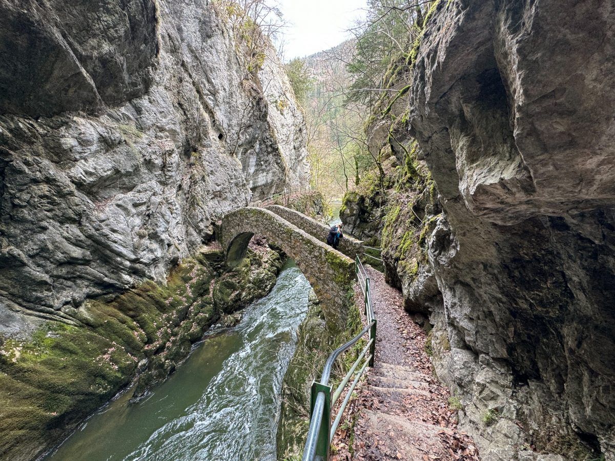 Saut de Brot Bridge
