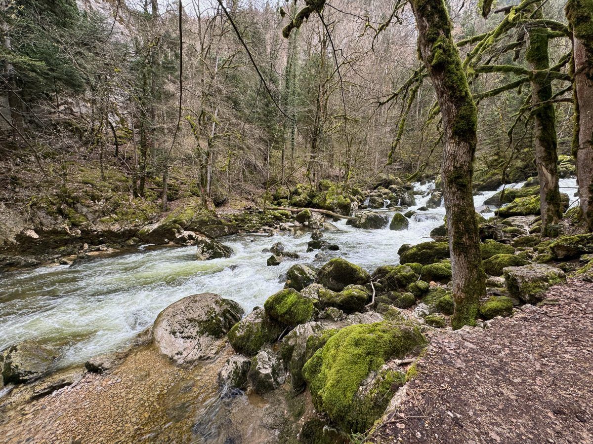 Gorge de l'Areuse Hike
