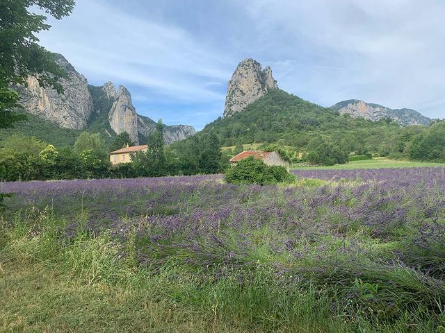 Beyond Provence A Lavender Laden Road Trip From Geneva To Nyons