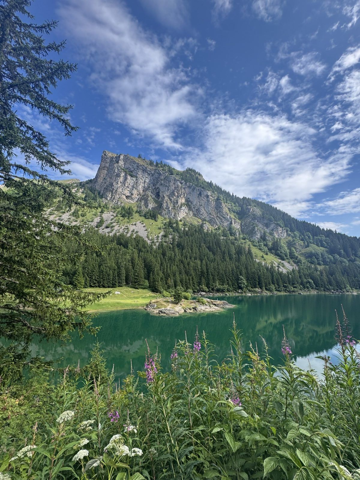 Lake Taney