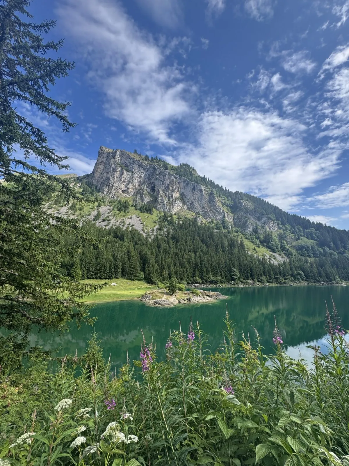 Lake Taney
