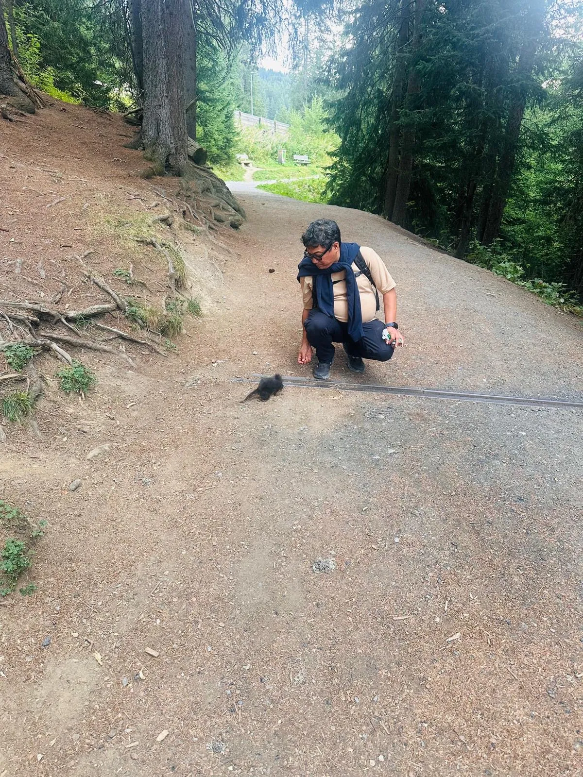 A dark red squirrel taking a nut a hand's width from a crouching visitor on the Arosa Squirrel Trail