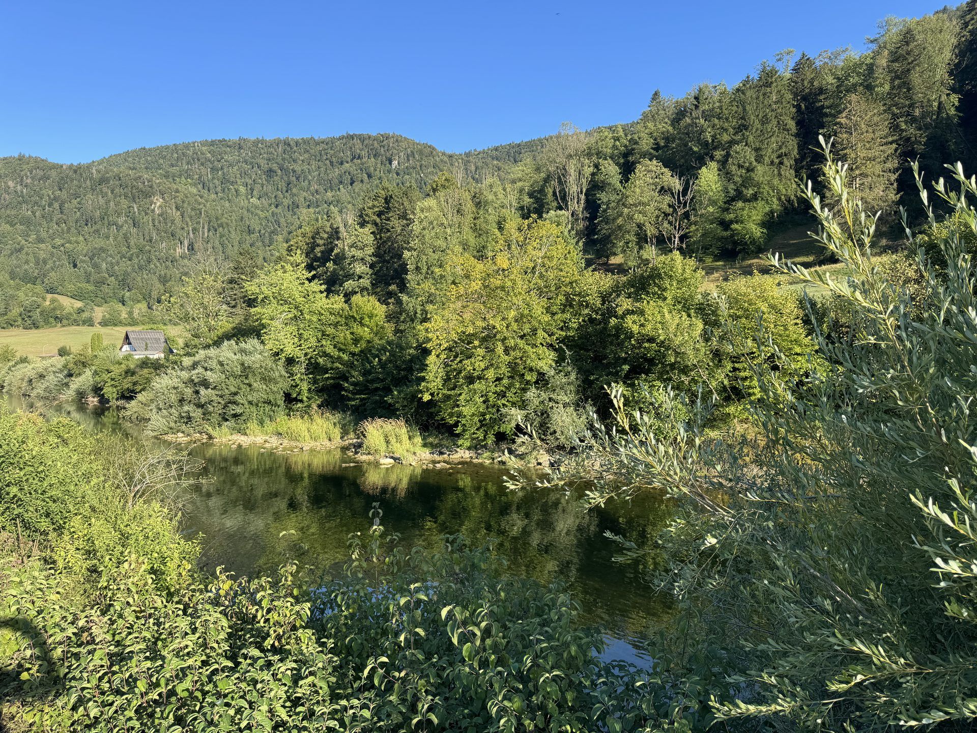 The Doubs winding through its green, forested valley