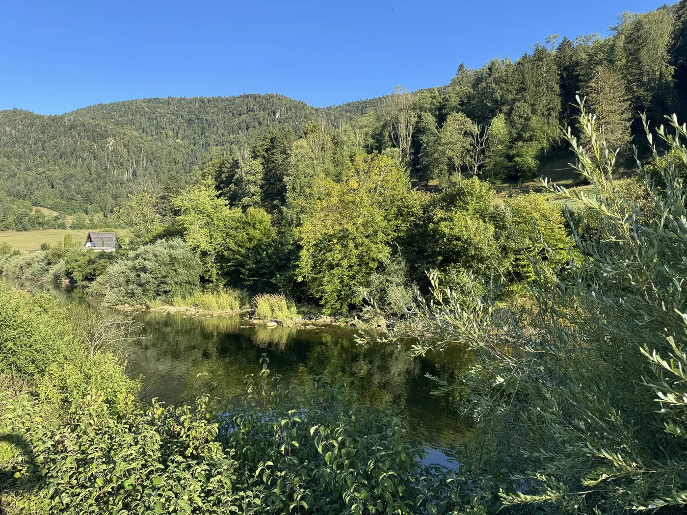 The Doubs winding through its green, forested valley